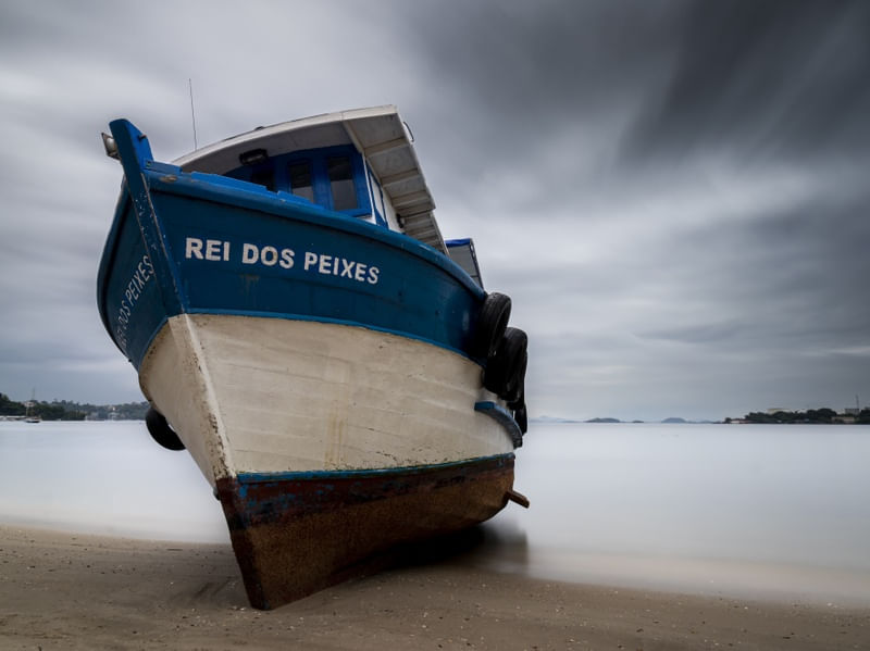 O VELHO REI DOS PEIXES