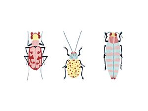 BUGS