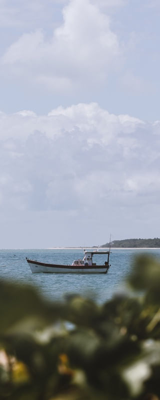 ENTRE FOLHAS E MAR PERNAMBUCO