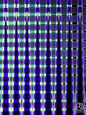 EPÉES BLEUES ET LILAS