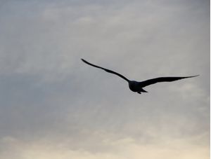 CÉU DE BÚZIOS H1