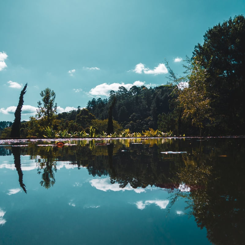 LAGOGAL