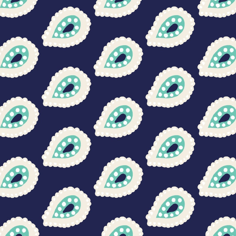 KASHMIR NAVY