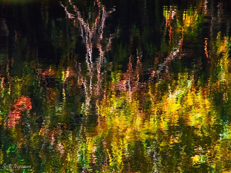 CORES AQUÁTICAS