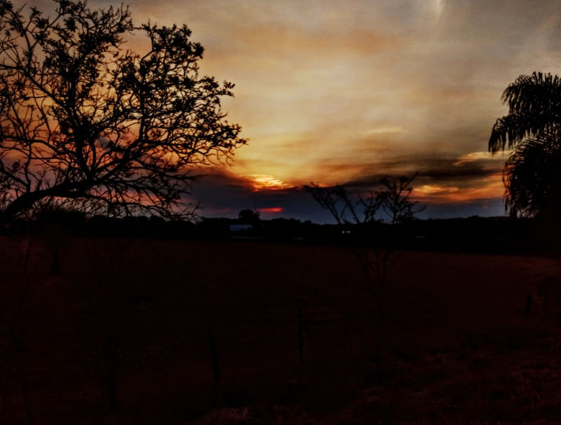 DARK OF SUNSET