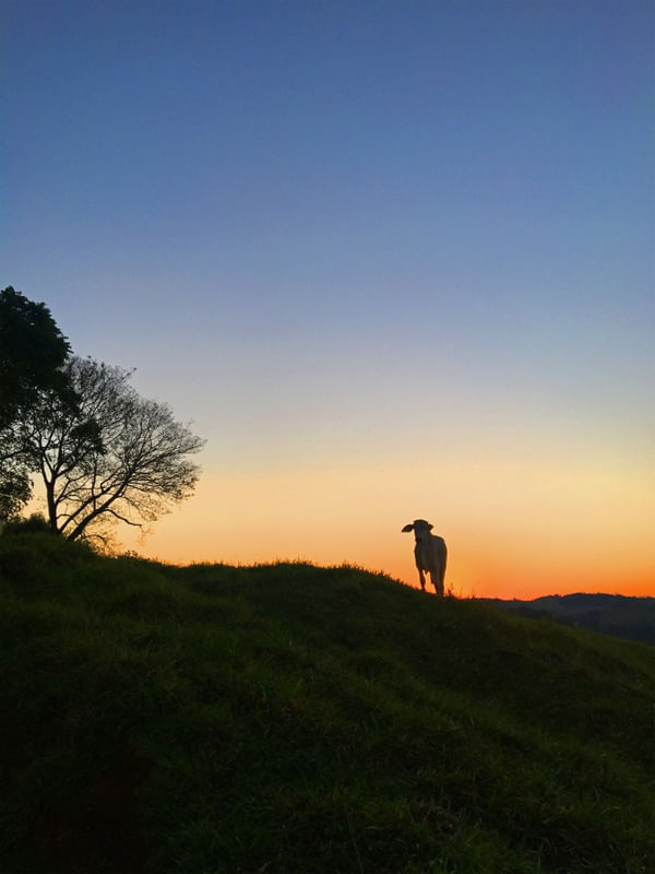 PÔR DO SOL EM CHOPINZINHO