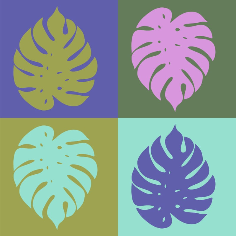 MONSTERA EM QUADROS