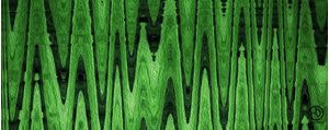 THE GREEN FOREST
