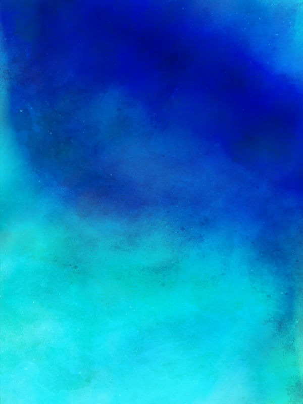 SEA ZERODOIS