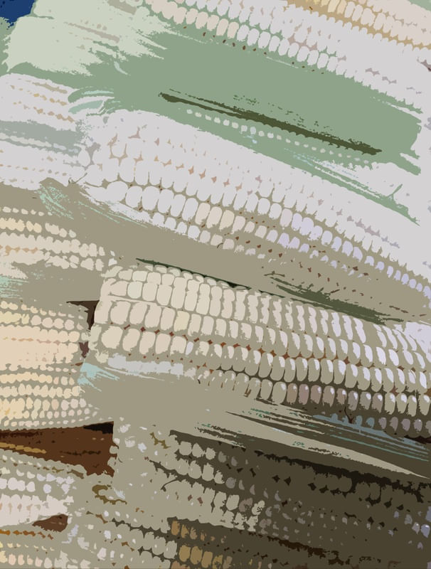 LEGUMES002