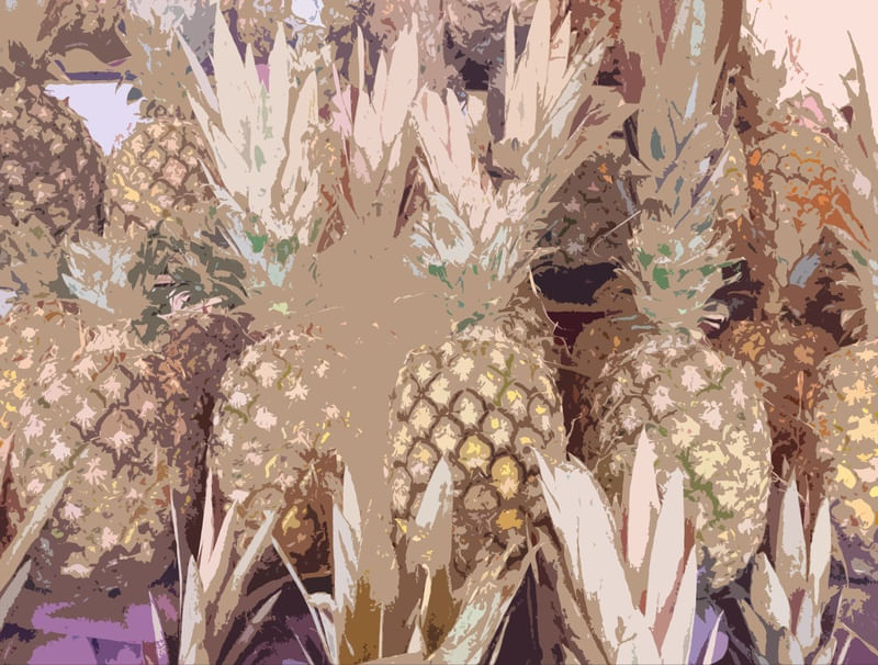 FRUTA002