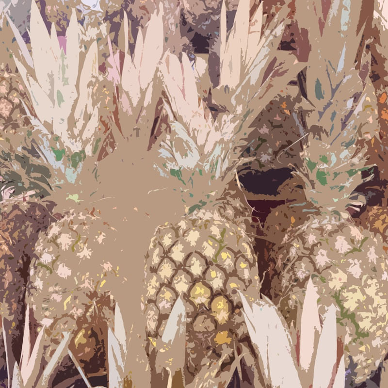 FRUTA003