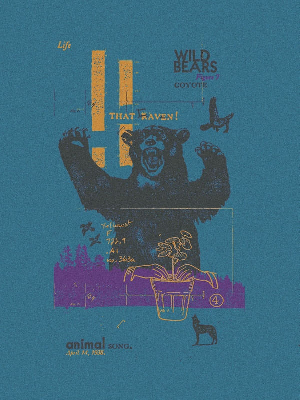 ANIMAL SONG