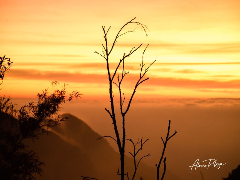 AMANHECER NA SERRA DO RIO DO RASTRO