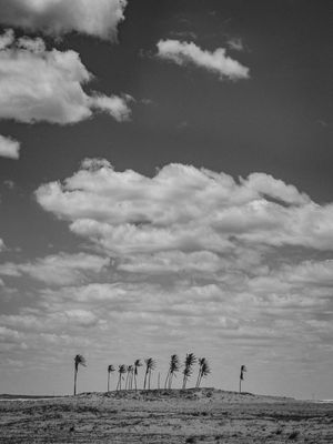 JERI DESERT