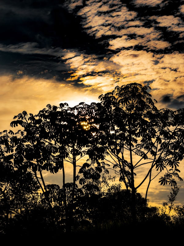 SUNSET LOVERS TENEBROSOS