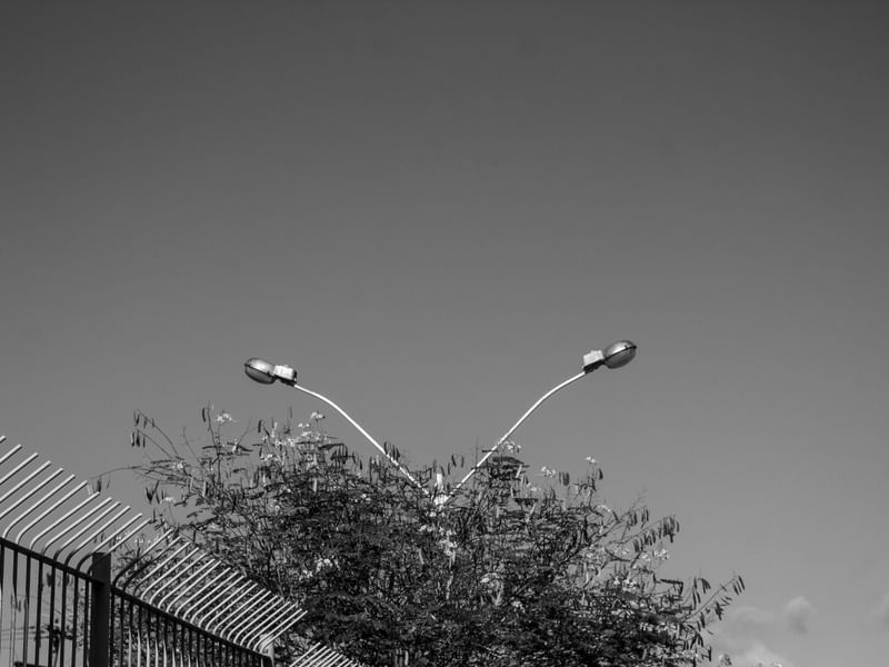 SIMPLESMENTE RUA