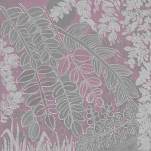 BOTANICA ROSA