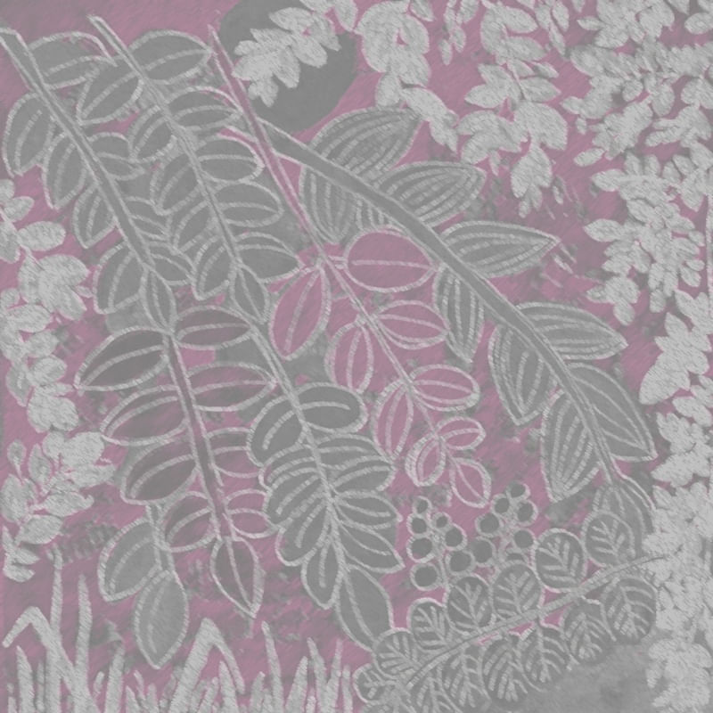 BOTANICA ROSA