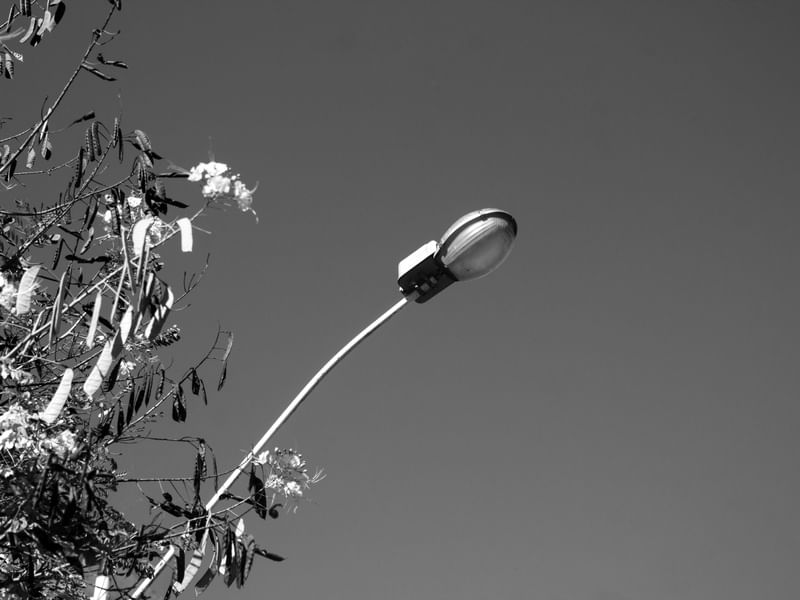 FLOR DE METAL