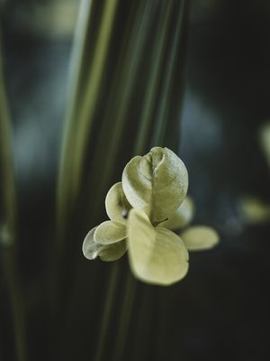 NATUREZA NATUREZA