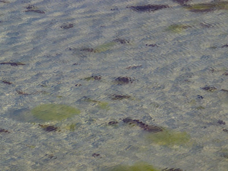DETALHE DE LAGOA NOS LENÇÓIS MARANHENSES