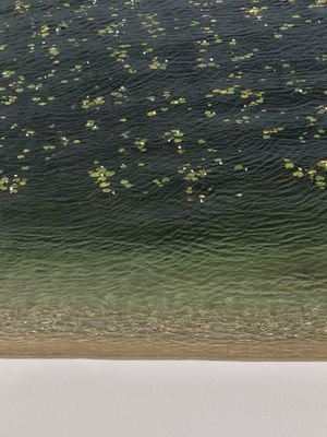 LAGOA - LENÇÓIS MARANHENSES