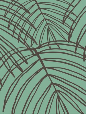 LINHAS TROPICAL