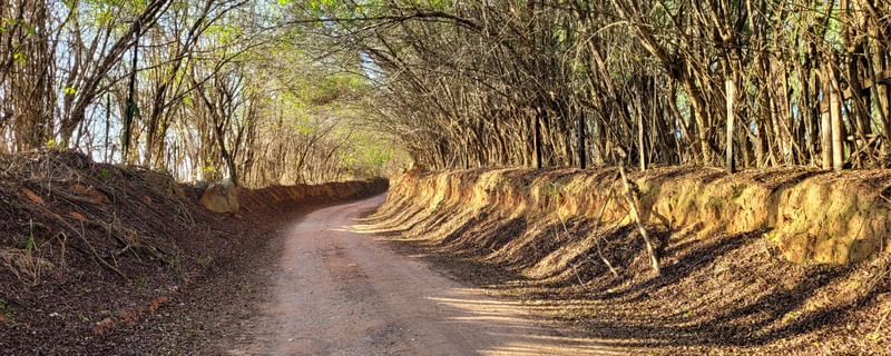 CAMINHO DO CAMPO