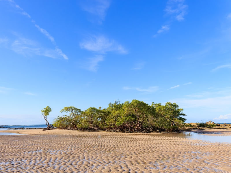 MORRO DE SÃO PAULO VII