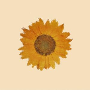 SUNFLOWER PAINTING