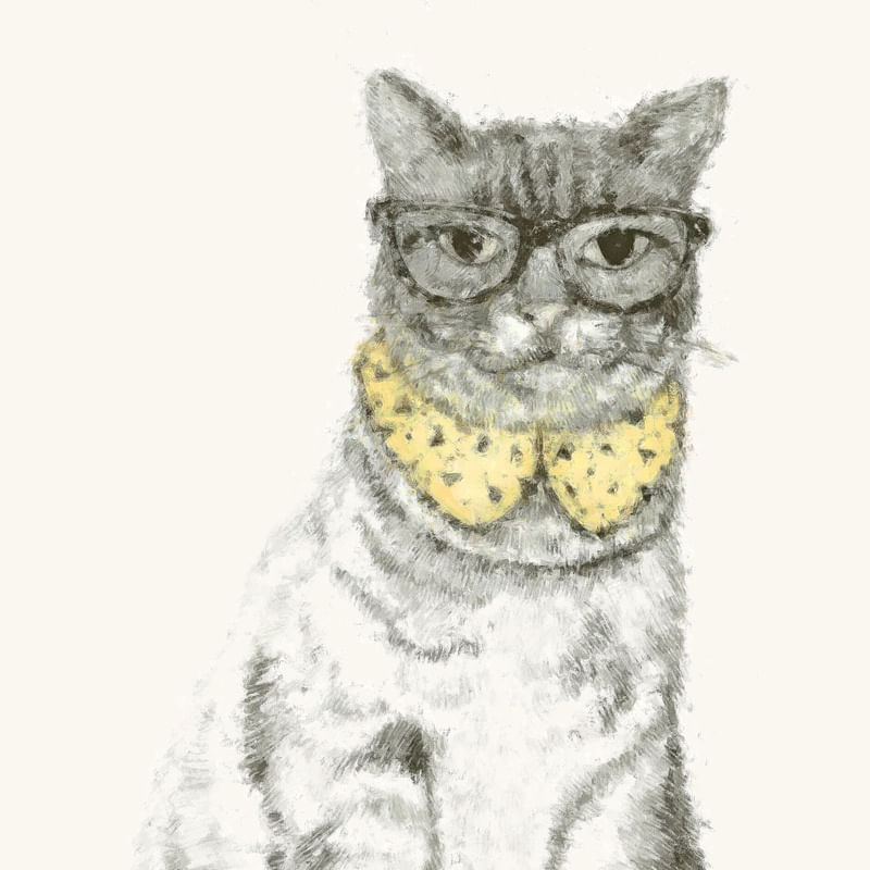 NERD CAT