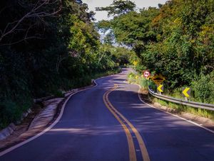 CURVAS DO CAMINHO