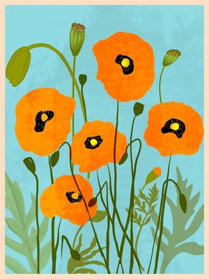 POPPY FLOWERS