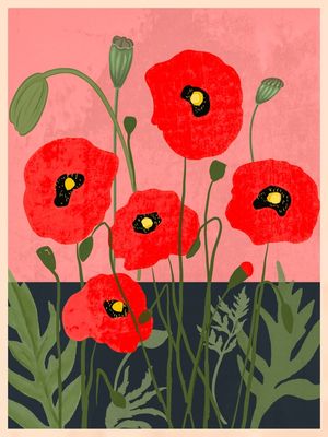 POPPY FLOWERS 2