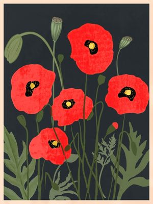 POPPY FLOWERS 4