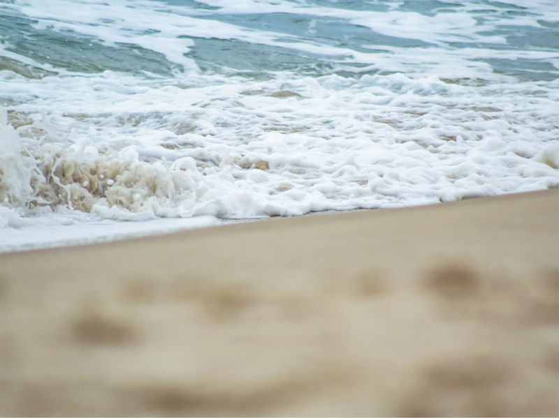 PRAIA ZOOM