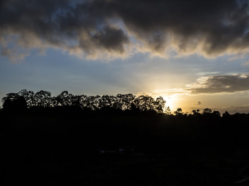 POR DO SOL NO CAMPO V