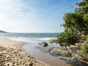 PRAIA TAQUARA VEGETAÇÃO
