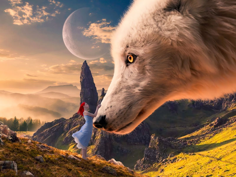 THE WOMAN AND THE BIG WOLF