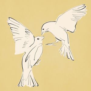 BIRD KISS
