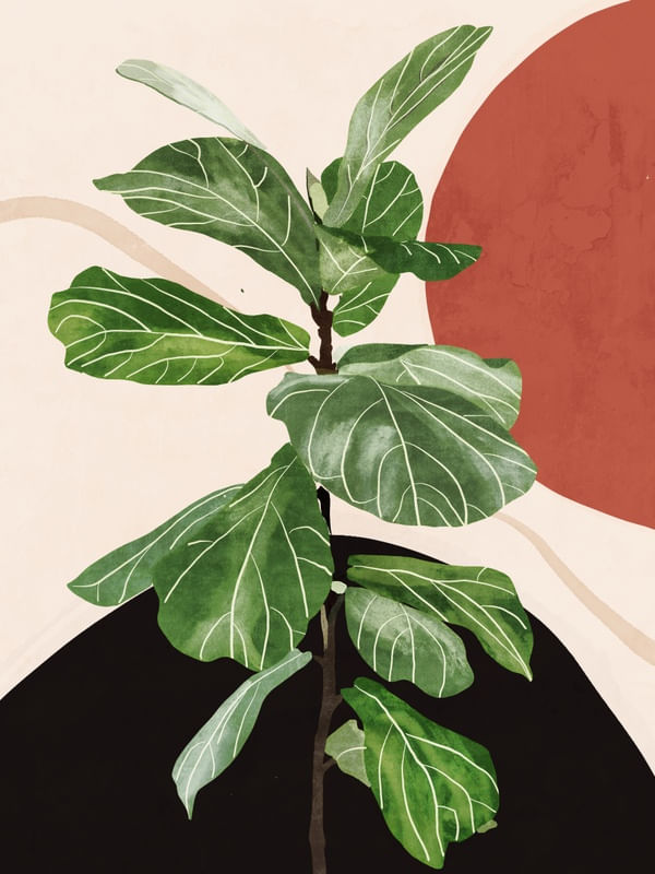ABSTRACT ART / PLANT 4