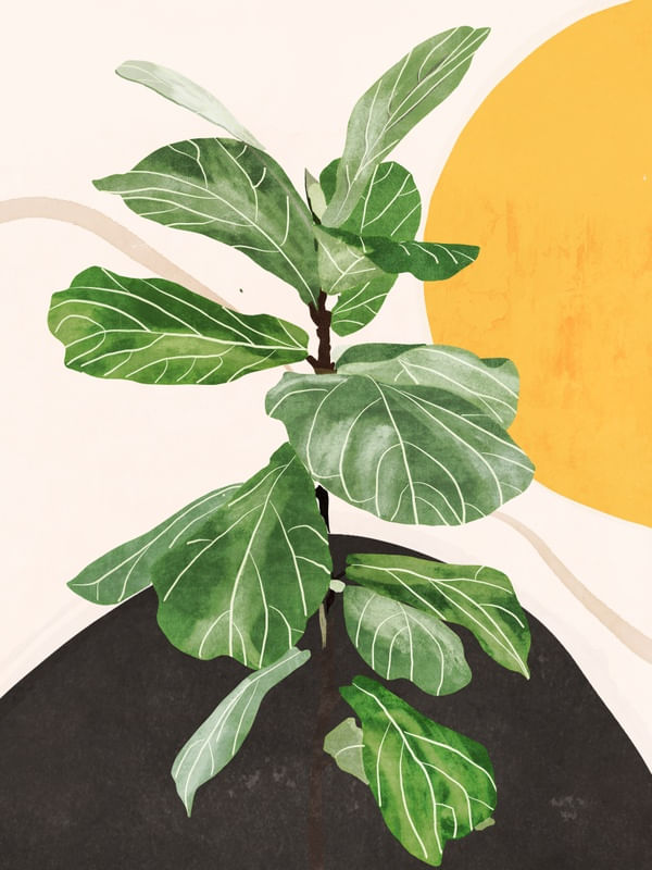 ABSTRACT ART / PLANT 2