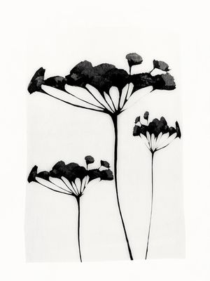 ABSTRACT ART /MINIMAL PLANT 118