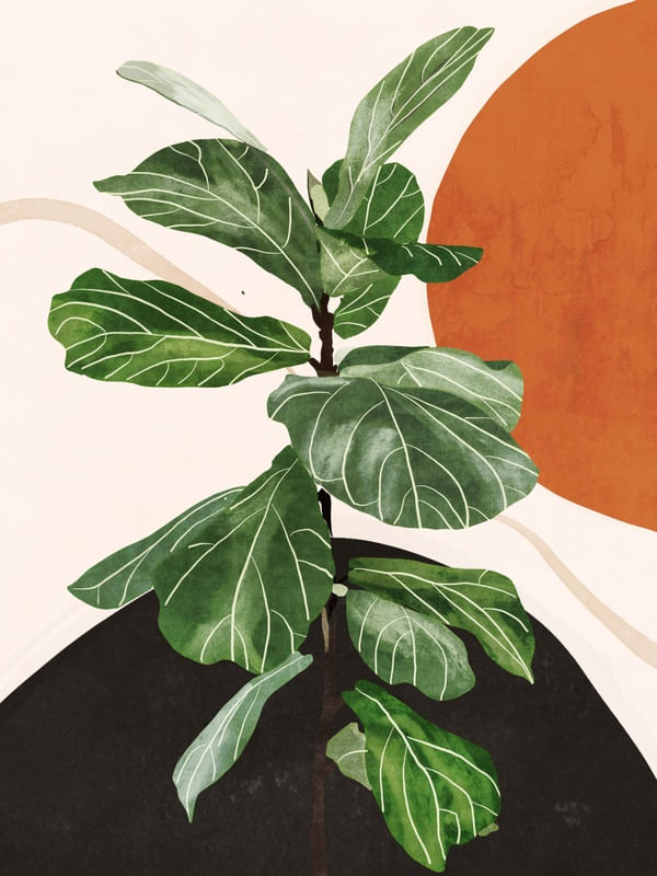 ABSTRACT ART / PLANT 3