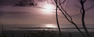 NASCER DO SOL_PURPLE_ARVORES_PRAIA DO RECREIO_RJ