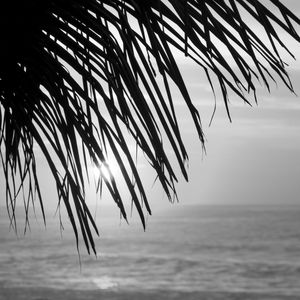 NASCER DO SOL_COQUEIRO_PRAIA DO RECREIO_2_PB