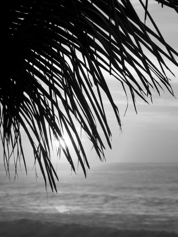 NASCER DO SOL_COQUEIRO_PRAIA DO RECREIO_2_PB_RJ_90X120