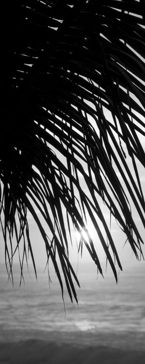 NASCER DO SOL_COQUEIRO_PRAIA DO RECREIO_2_PB_RJ_68X120