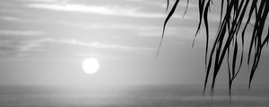 NASCER DO SOL_COQUEIRO_PRAIA DO RECREIO_RJ_PB_#5_120X48